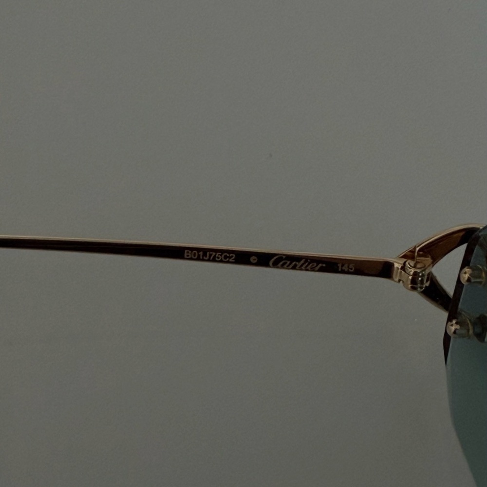 Cartier Blue and Gold Sunglasses - Picture 11 of 15
